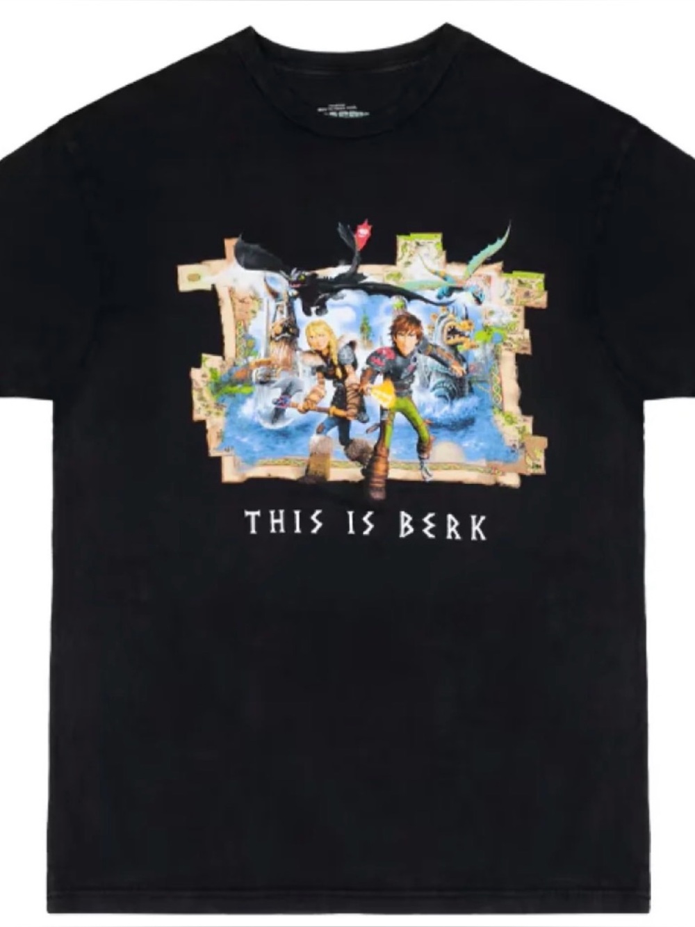 Universal Studios Epic verse How To Train Your Dragon This Is Berk T-Shirt Small
